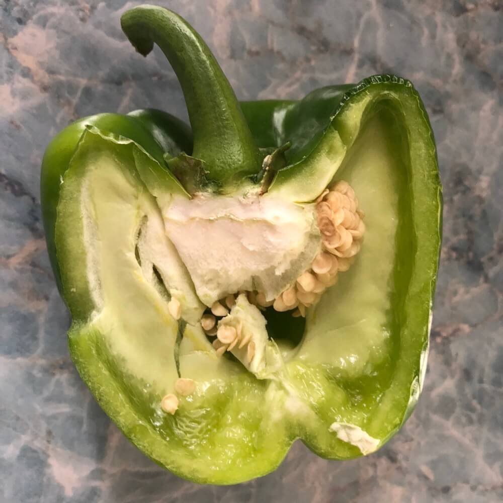 Green pepper