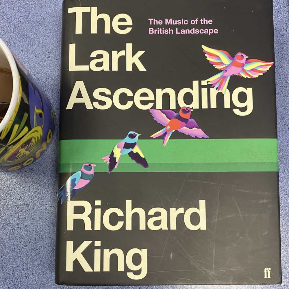 Book. The Lark Ascending - The Music Of The British Landscape by Richard King.